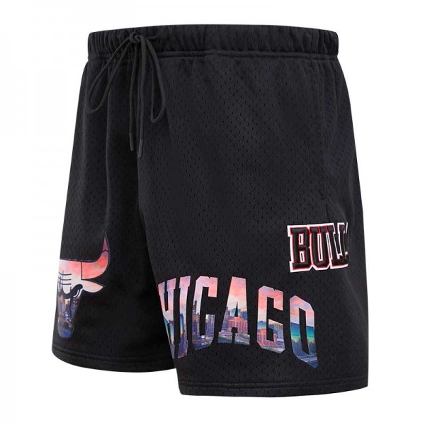 Шорты Chicago Bulls Pro Standard Black City Scape Mesh