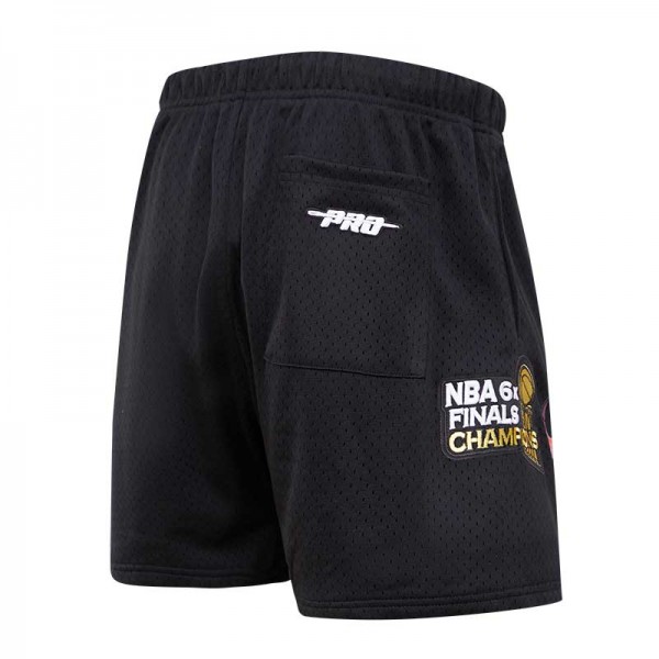 Шорты Chicago Bulls Pro Standard Black City Scape Mesh