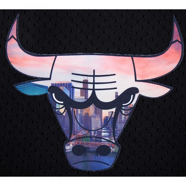Шорты Chicago Bulls Pro Standard Black City Scape Mesh