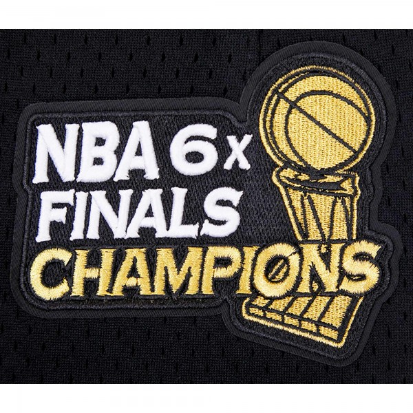 Шорты Chicago Bulls Pro Standard Black City Scape Mesh