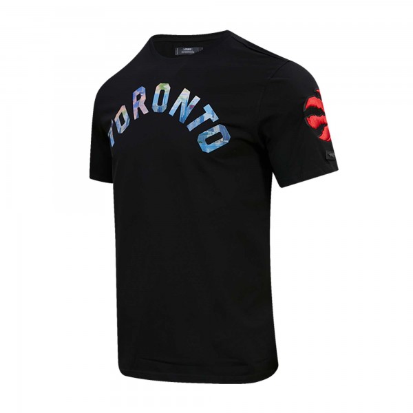 Футболка Toronto Raptors Pro Standard City Scape - Black