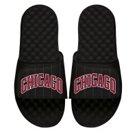 Шлепки Chicago Bulls ISlide Black Statement