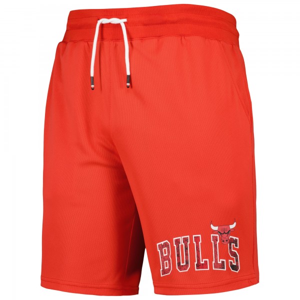 Шорты Chicago Bulls Tommy Jeans Red Mike Mesh Basketball
