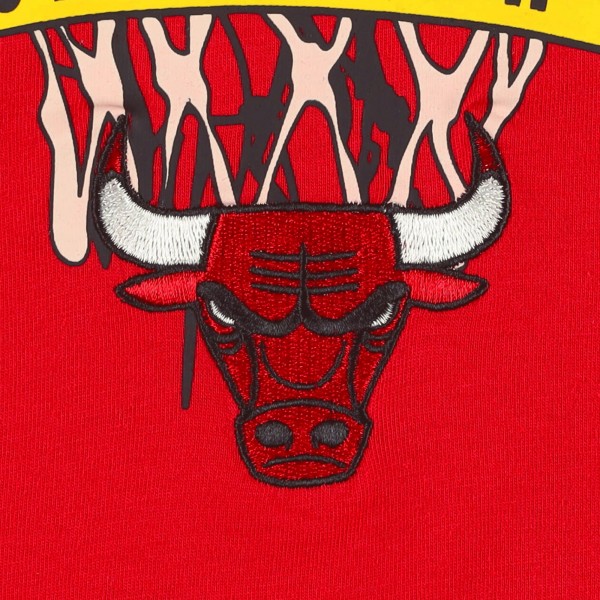 Футболка Chicago Bulls Tommy Jeans Red Tim Backboard