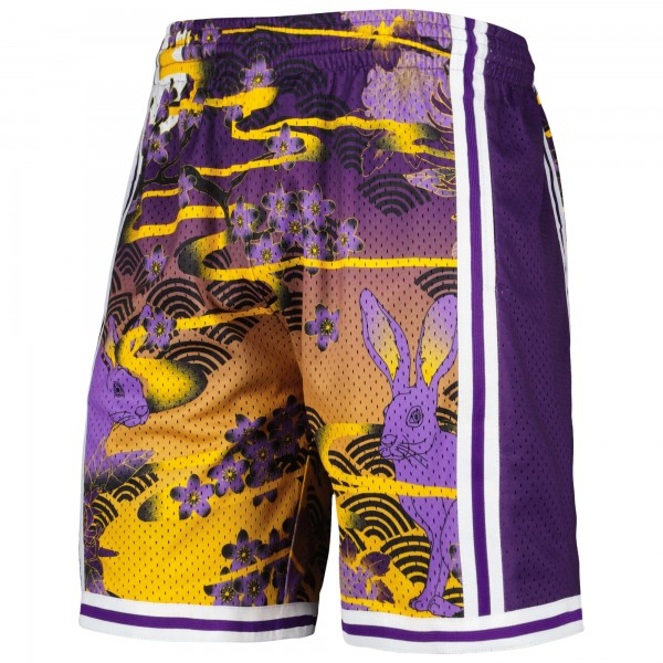 Шорты Los Angeles Lakers Mitchell & Ness Lunar New Year Swingman - Purple