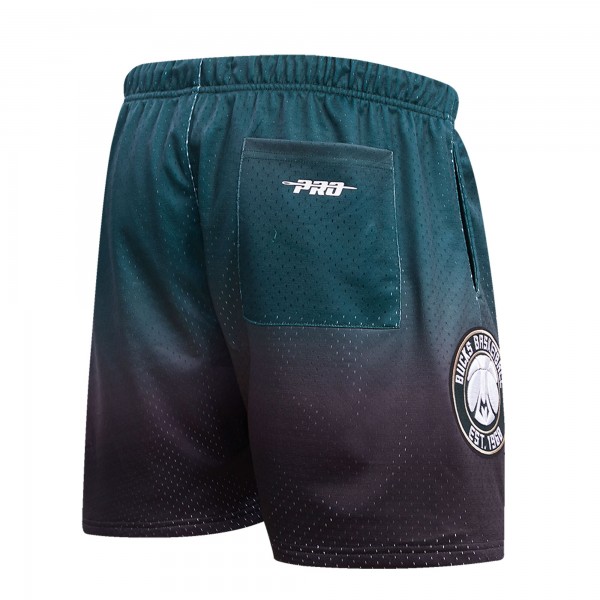 Шорты Milwaukee Bucks Pro Standard Ombre Mesh - Black/Hunter Green