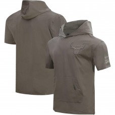 Футболка с капюшоном Chicago Bulls Pro Standard Neutrals - Gray