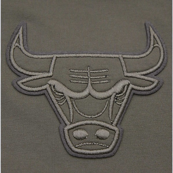 Футболка с капюшоном Chicago Bulls Pro Standard Neutrals - Gray