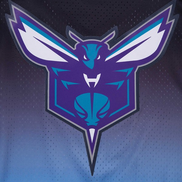 Именная футболка LaMelo Ball Charlotte Hornets Post Ombre - Navy/Blue