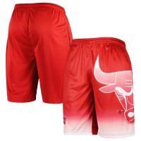 Шорты Chicago Bulls Graphic - Red