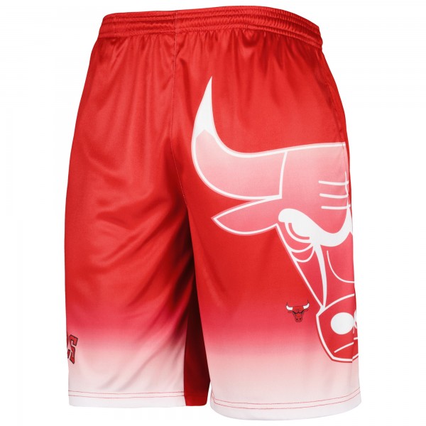 Шорты Chicago Bulls Graphic - Red