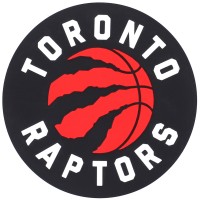 Проводная зарядка USB Toronto Raptors 3D